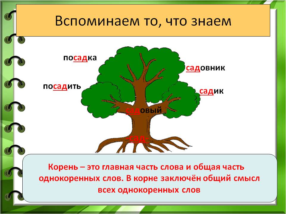 Слова с корнем оч. Однокоренные слова. Корень однокоренные слова. Дерево родственных слов. Родственные слова сад.