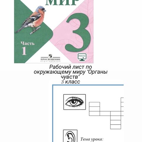 Рабочий лист для окружающего мира по теме 