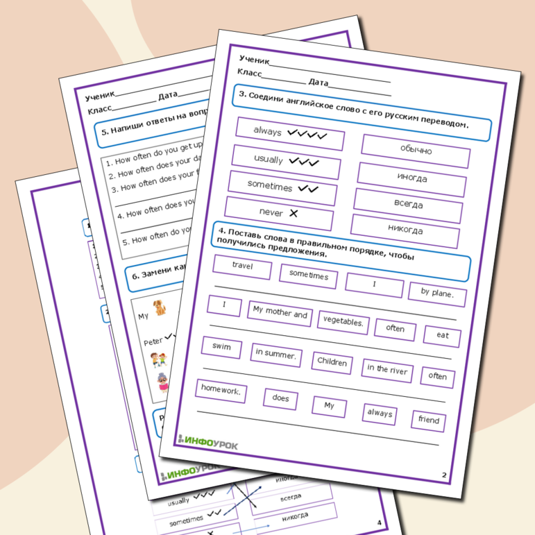 Рабочий лист по английскому языку на тему Present Simple. Adverbs of frequency.