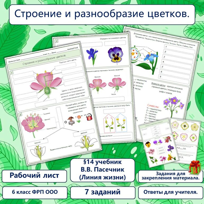 Рабочий лист «Строение и разнообразие цветков», 6 класс, соответствует ФРП ООО.