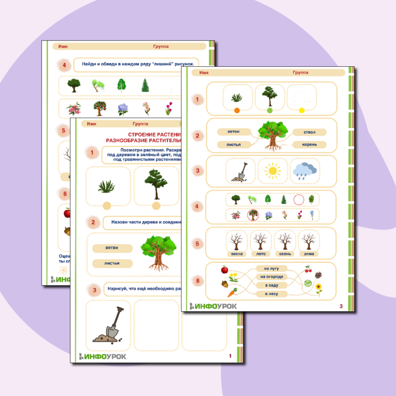 Рабочий лист «Строение растений. Разнообразие растительного мира» для детей от 6 лет.