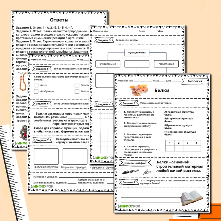 Белки, подготовка ОГЭ и ЕГЭ
