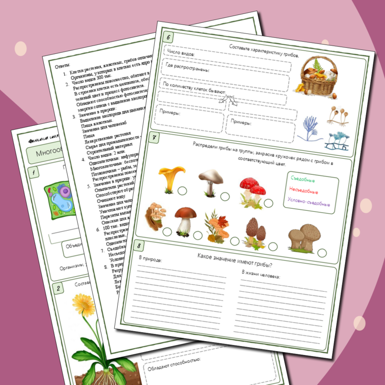 Рабочий лист «Многообразие и значение растений, животных и грибов», 5 класс к учебнику В.В. Пасечника