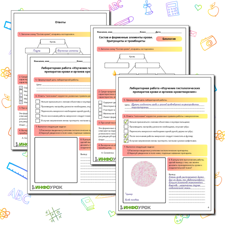 Рабочий лист по биологии: Состав и форменные элементы крови. Эритроциты и тромбоциты. Лабораторная работа «Изучение гистологических препаратов крови и органов кроветворения»