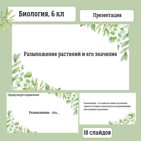 Презентация: Размножение растений и его значение, 6 класс, к УМК В.В. Пасечника 