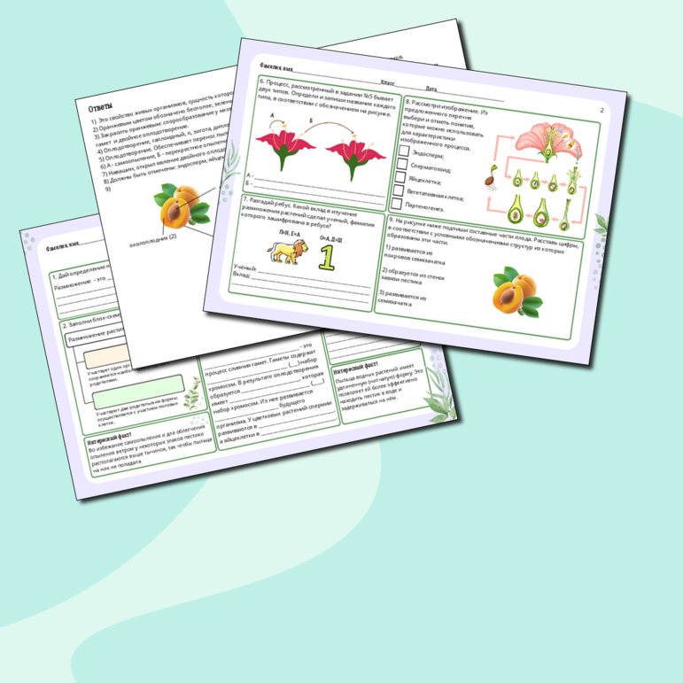 Рабочий лист по биологии: Размножение растений и его значение, 6 класс, к УМК В.В. Пасечника 