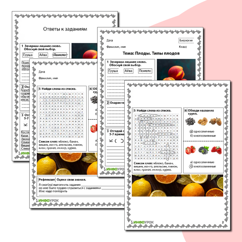 Рабочий лист по биологии «Плоды. Типы плодов»