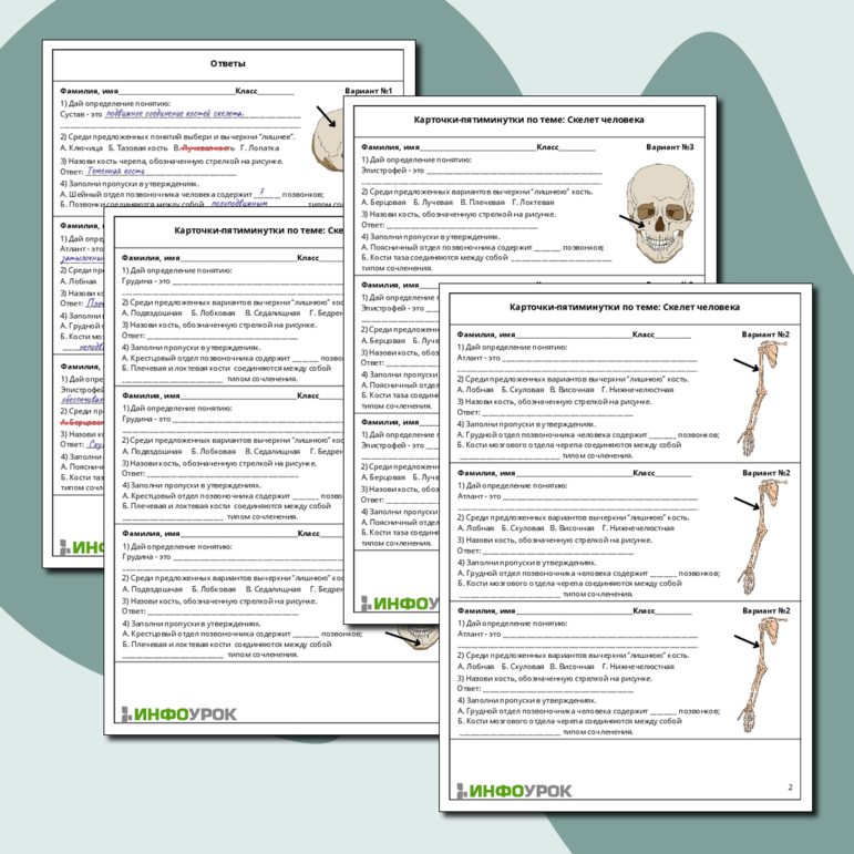 Карточки-пятиминутки по биологии: «Скелет человека»