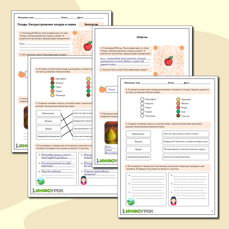 Рабочий лист по биологии: Плоды. Распространение плодов и семян