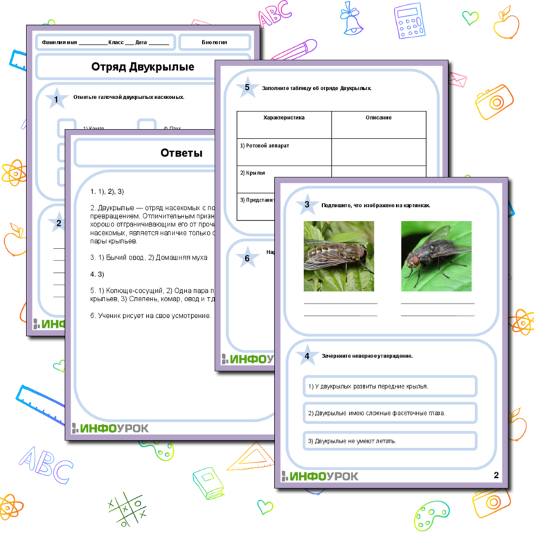 Рабочий лист по Биологии на тему «Отряд Двукрылые»