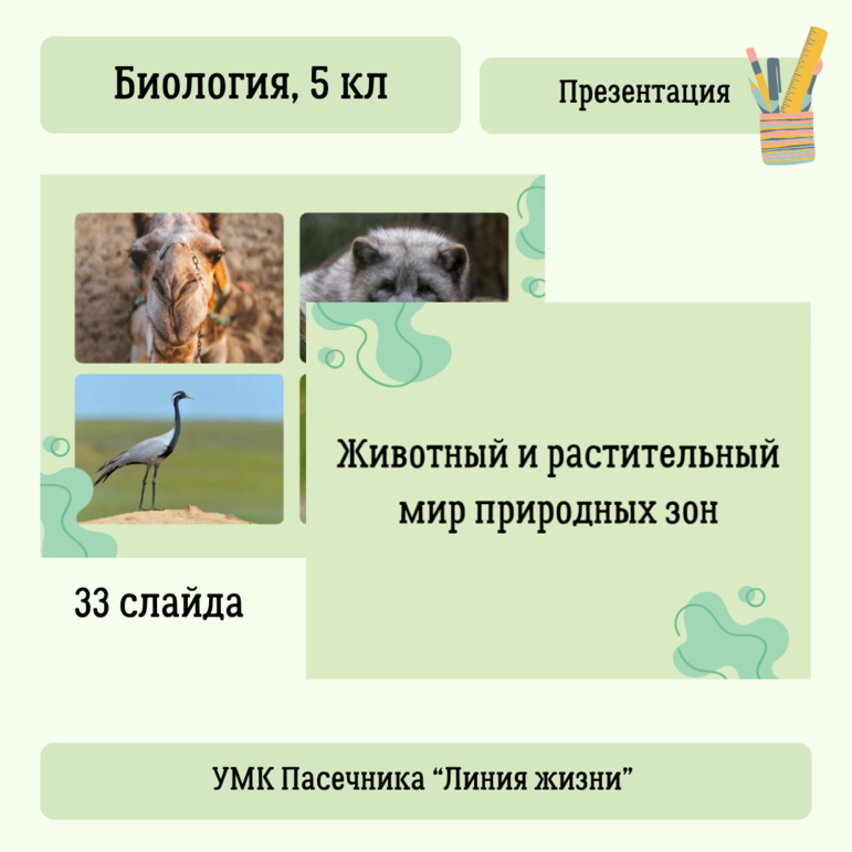 Презентация: Животный и растительный мир природных зон, 5 класс, к УМК В.В. Пасечника 