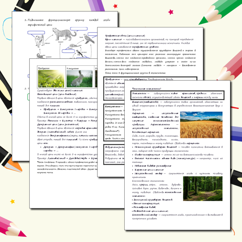 Рабочий лист для подготовки к ОГЭ по биологии по 19-21 вопросам (Экосистема)