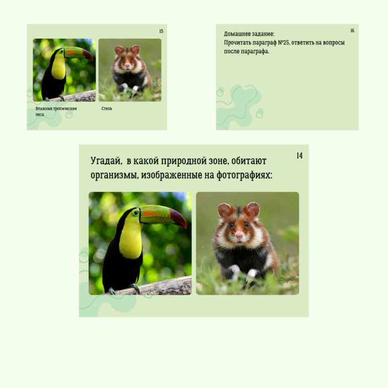 Презентация: Животный и растительный мир природных зон, 5 класс, к УМК В.В. Пасечника 