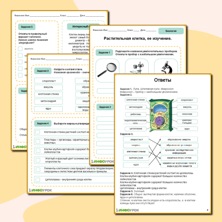 Рабочий лист по биологии 