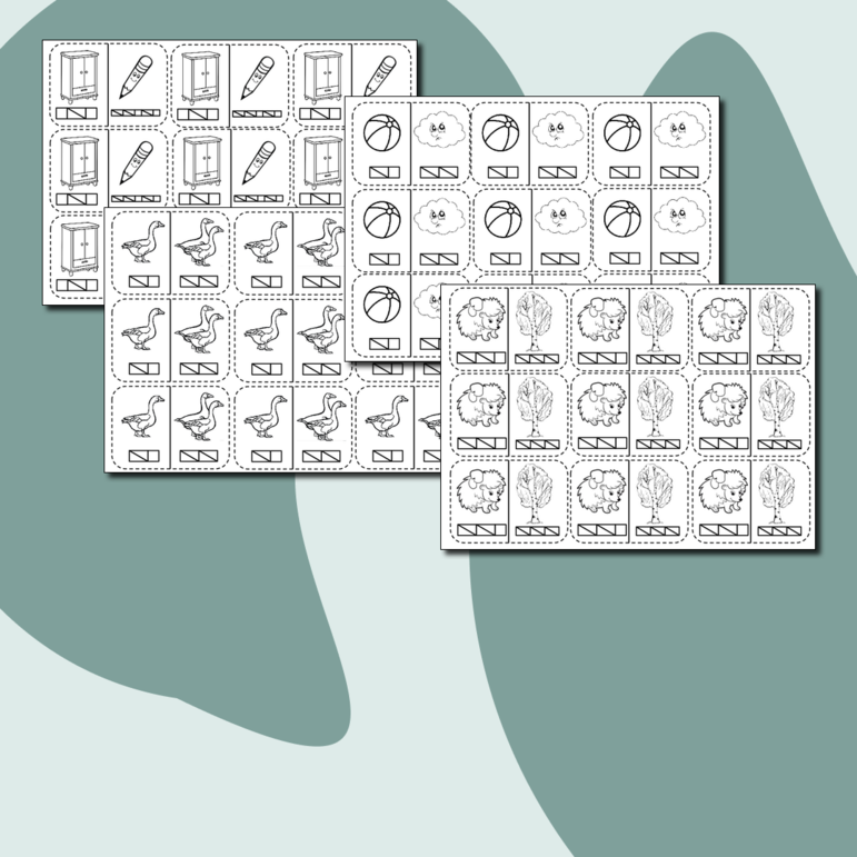 Карточки-вклейки «Схемы слов с буквами Ч, Ь, Ш, Ж, Ё»