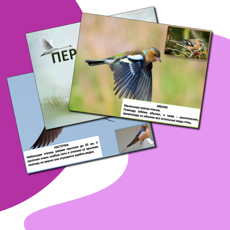 Перелетные птицы России. Презентация. Плакаты. некоторые факты о перелетных птицах