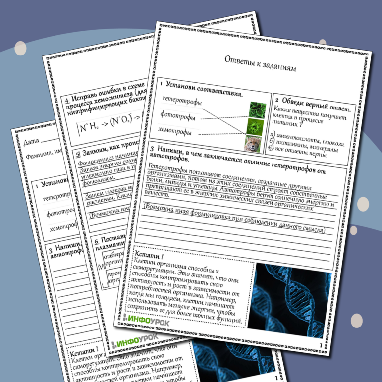 Рабочий лист по биологии Питание клетки