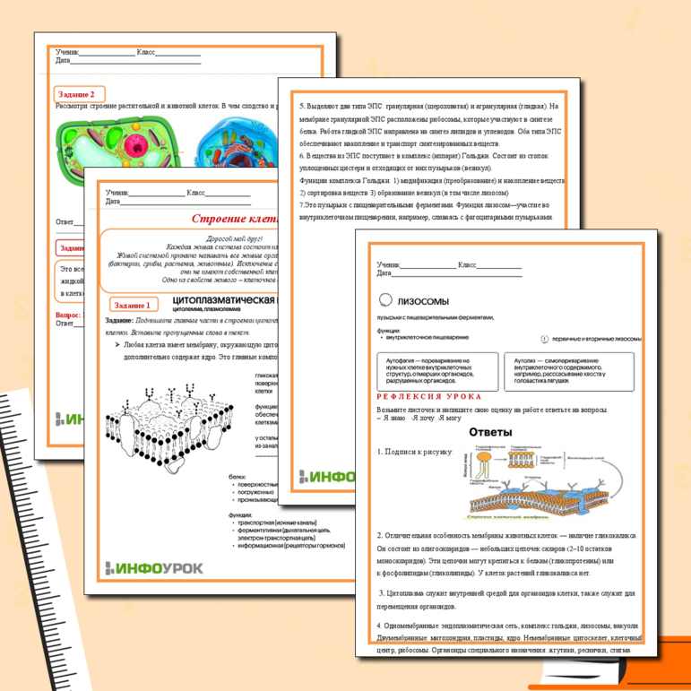 Рабочий лист «Строение клетки»