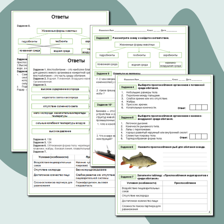 Рабочий лист по биологии 