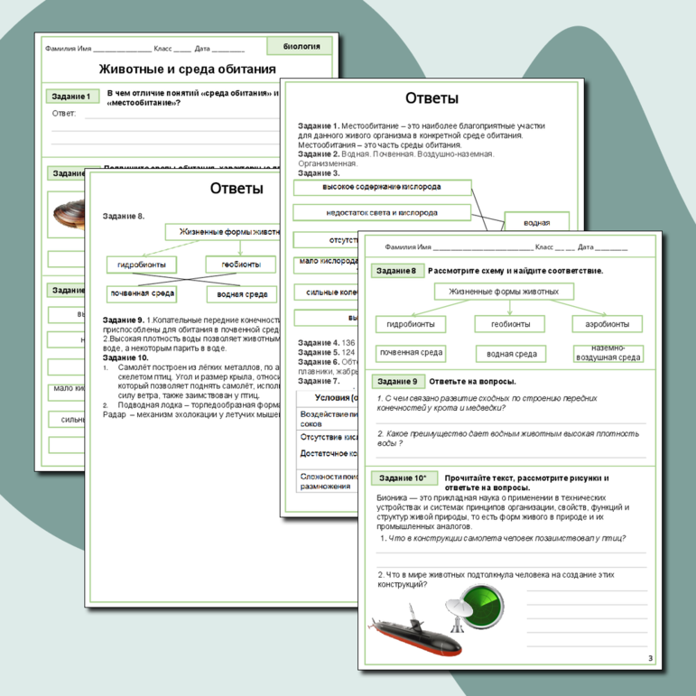 Рабочий лист по биологии 