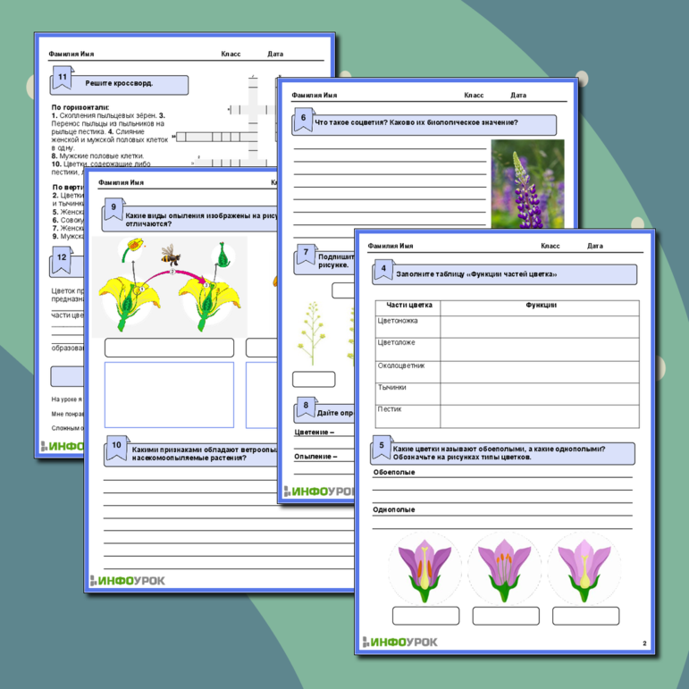 Рабочий лист по биологии 