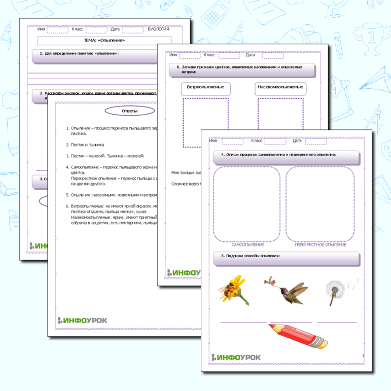 Рабочий лист по биологии. Тема: «Опыление»