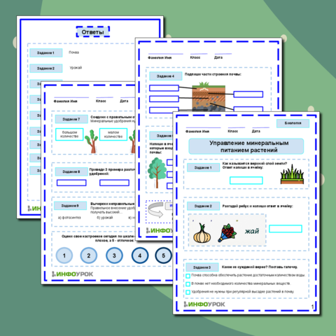 Боб садовый | Virtual Laboratory Wiki | Fandom