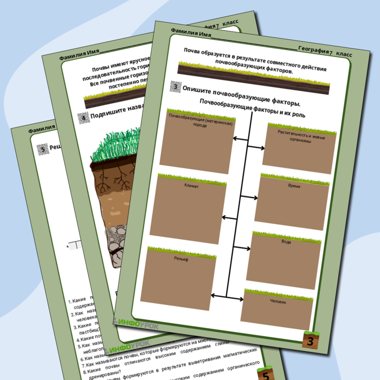 Рабочий лист по географии на тему “Почва: ее состав, свойства и охрана”