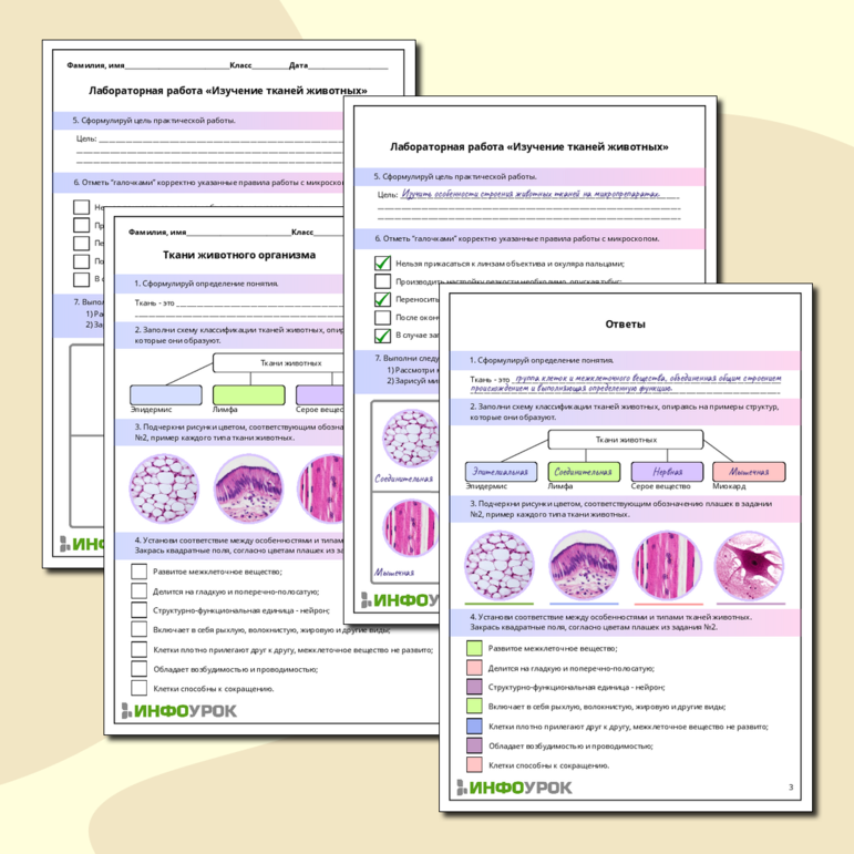 Рабочий лист по биологии: Ткани животного организма. Лабораторная работа «Изучение тканей животных»
