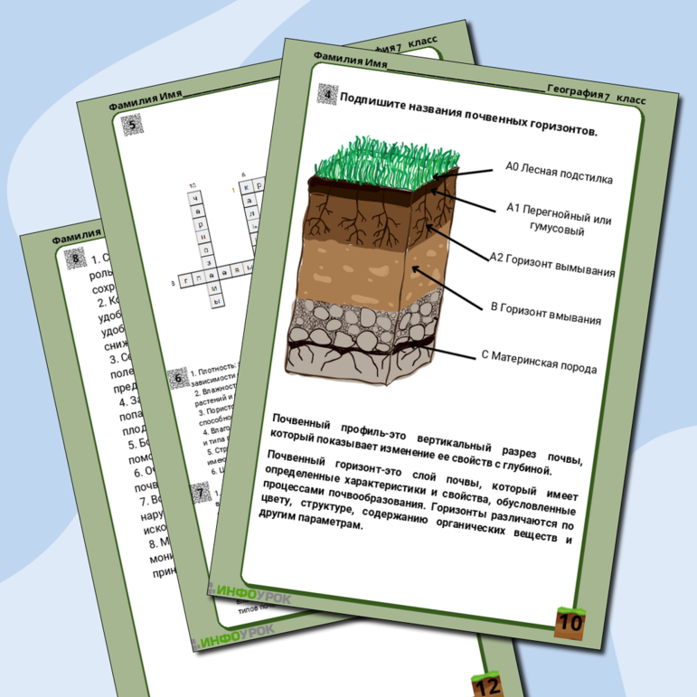 Рабочий лист по географии на тему “Почва: ее состав, свойства и охрана”