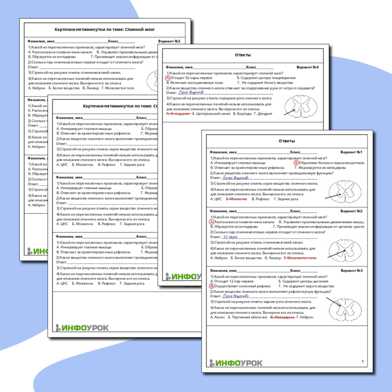 Карточки-пятиминутки по биологии «Спинной мозг»