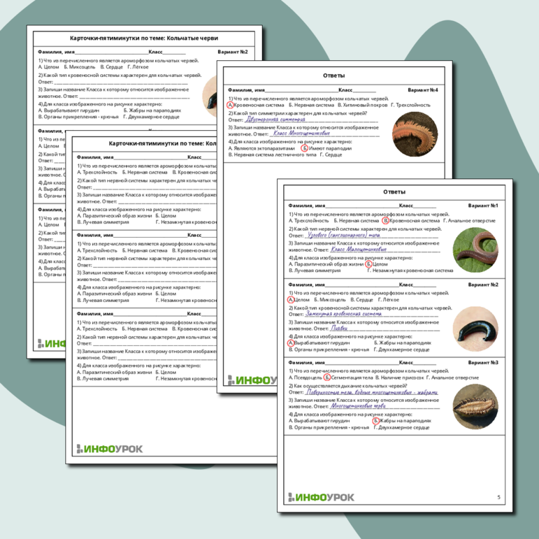 Карточки-пятиминутки по биология: «Кольчатые черви»