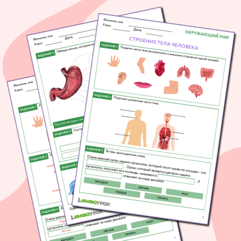 Экочас «Экологический калейдоскоп» (12+)