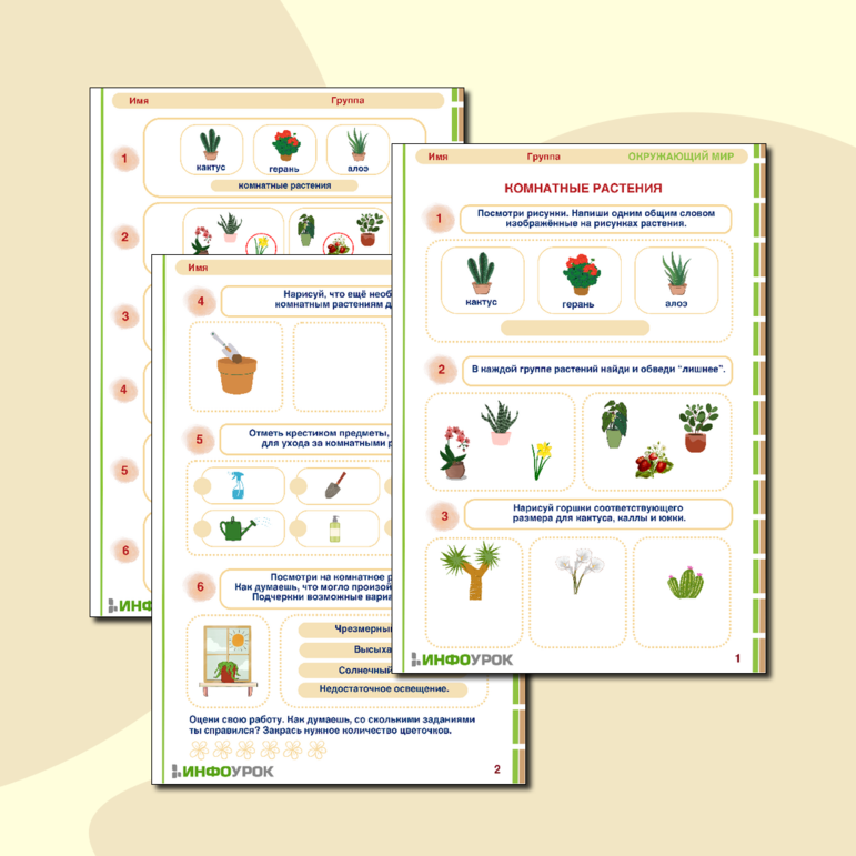 Рабочий лист «Комнатные растения» для детей от 6 лет.