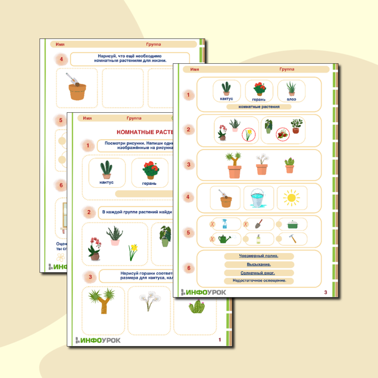 Рабочий лист «Комнатные растения» для детей от 6 лет.