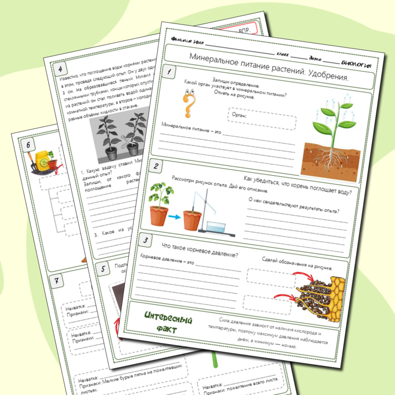 Рабочий лист «Минеральное питание растений. Удобрения», 6 класс, к учебнику В.В. Пасечника (Линия жизни)
