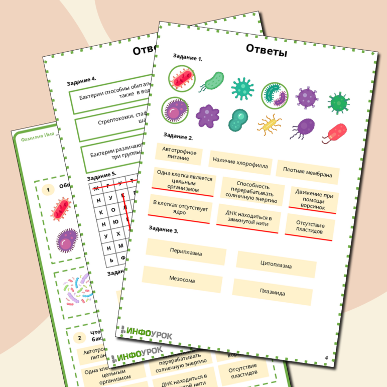 Рабочий лист по биологии на тему «Бактерии»