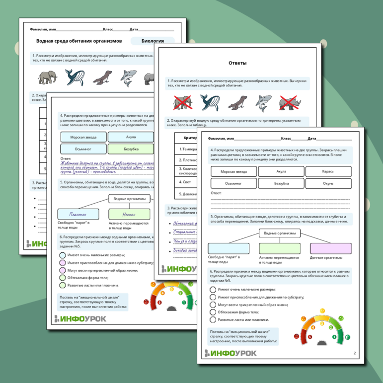 Рабочий лист по биологии: Водная среда обитания организмов