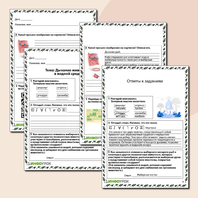 Рабочий лист по биологии «Дыхание животных в водной среде»