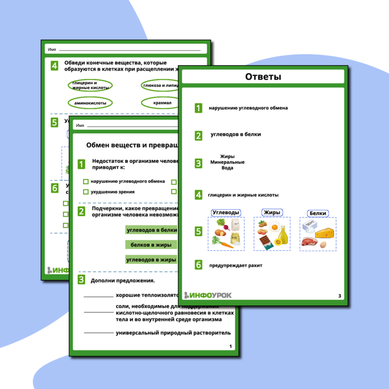 Рабочий лист «Обмен веществ и превращение энергии»