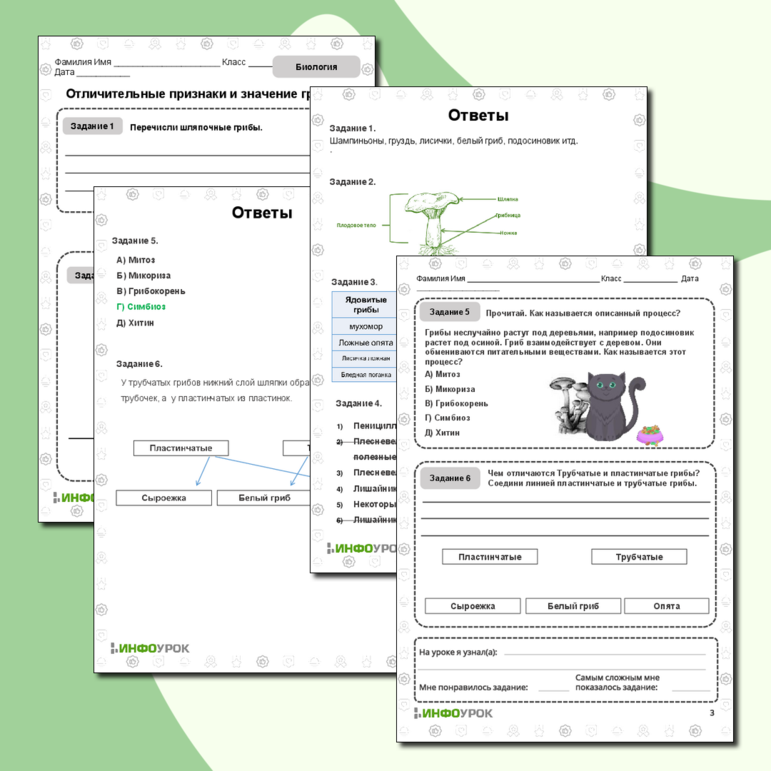 Рабочий лист по биологии «Отличительные признаки и значение грибов»