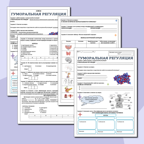 Рабочий лист «Гуморальная регуляция»