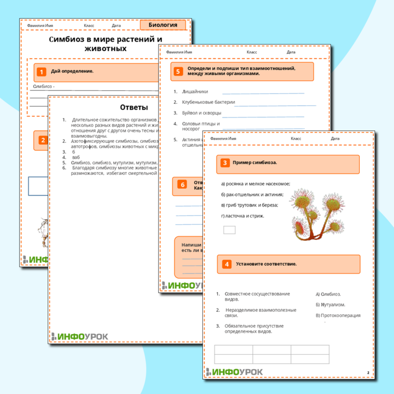 Рабочий лист «Симбиоз в мире растений и животных»
