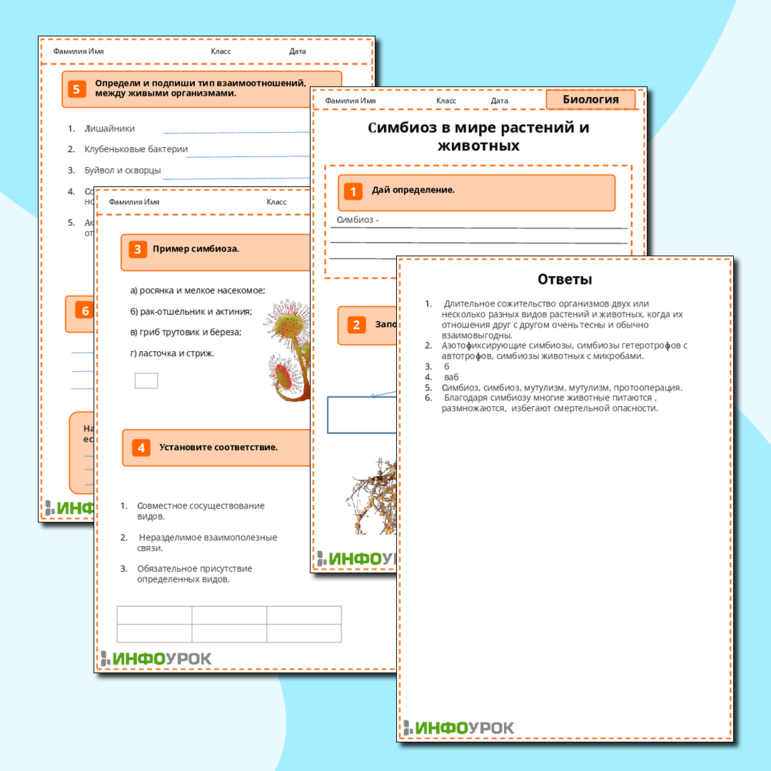 Рабочий лист «Симбиоз в мире растений и животных»