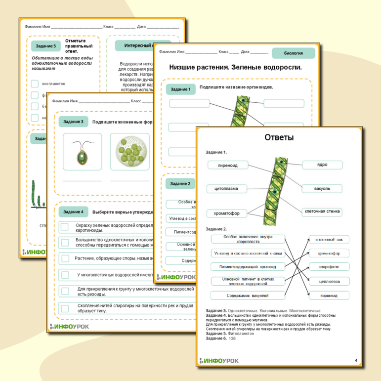 Рабочий лист по биологии 