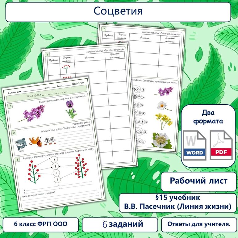 Рабочий лист «Соцветия», 6 класс, к учебнику В.В. Пасечника (Линия жизни)