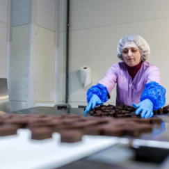 Основы деятельности изготовителя шоколада