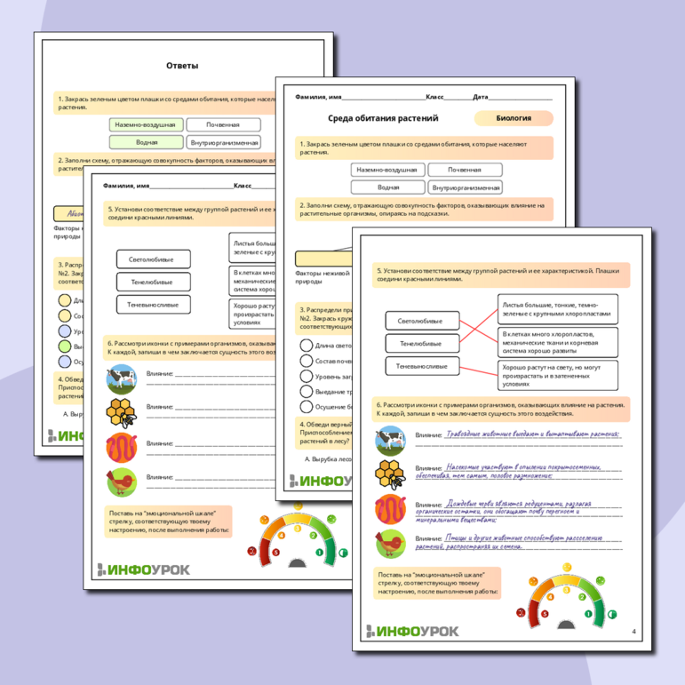 Рабочий лист по биологии 