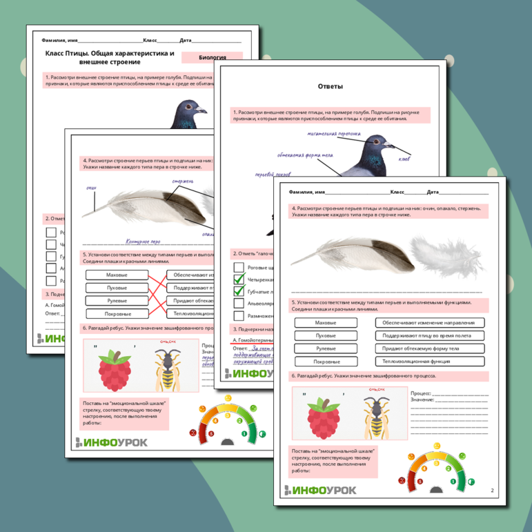Рабочий лист по биологии 