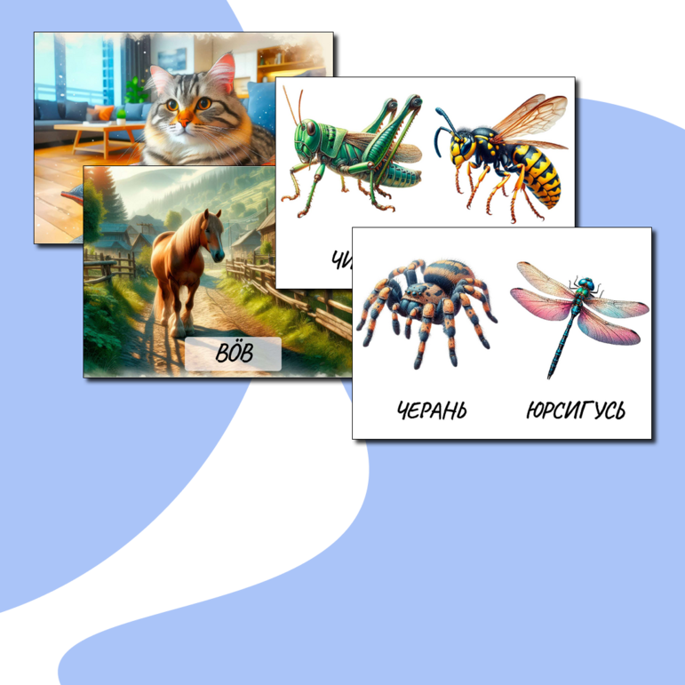 Плакаты на коми языке «Домашние животные и насекомые»